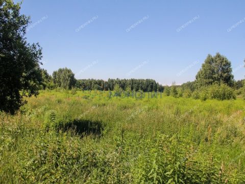 derevnya-kruglovo-gorodskoy-okrug-bor фото