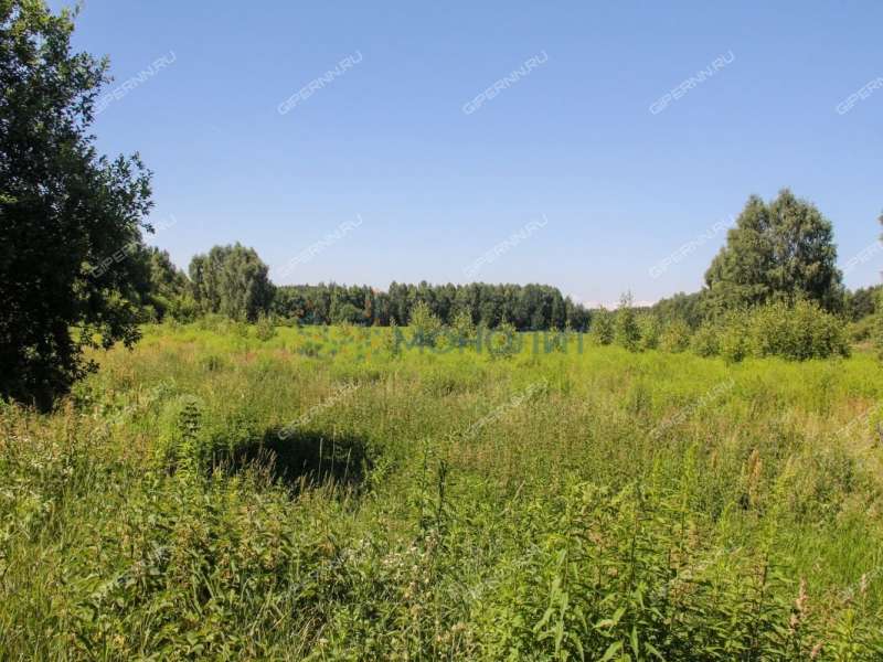 земельный участок под сельхоз назначение в городском округе Бор Нижегородской области