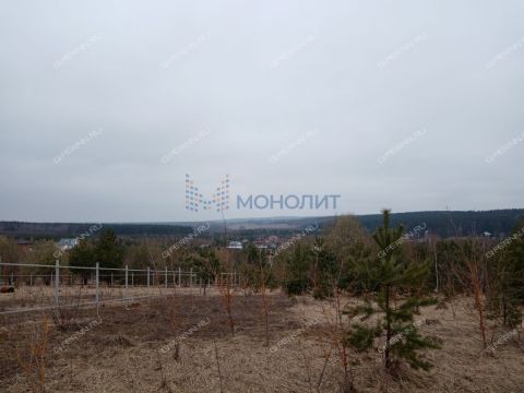 derevnya-nepecino-bogorodskiy-municipalnyy-okrug фото
