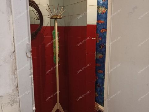 ul-yuliusa-fuchika-d-5 фото