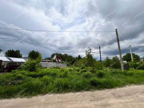 derevnya-zabore-gorodskoy-okrug-bor фото