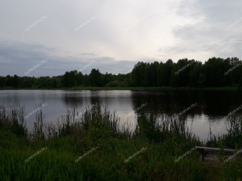 derevnya-zabolotnoe-sokolskiy-gorodskoy-okrug фото