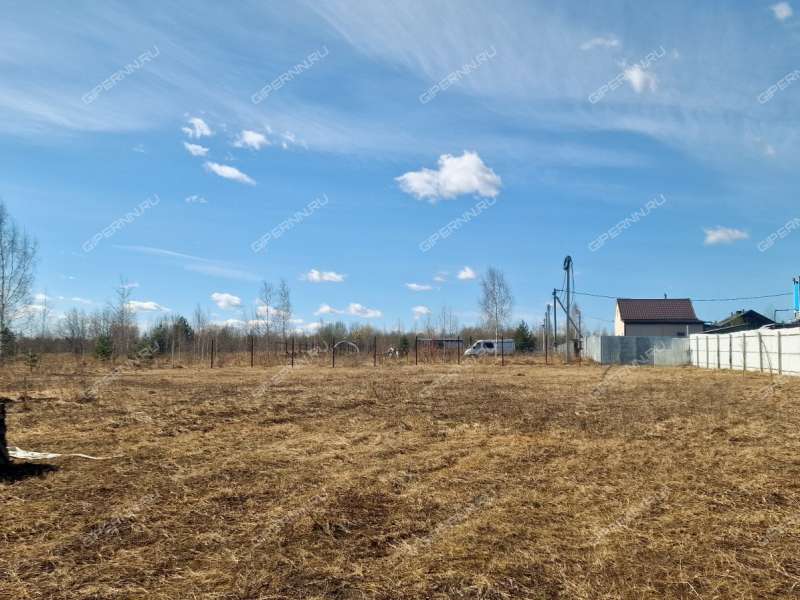 земельный участок 20,9 сотки деревня Кривая Шелокша