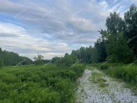 selo-redkino-redkinskiy-selsovet-gorodskoy-okrug-bor фото