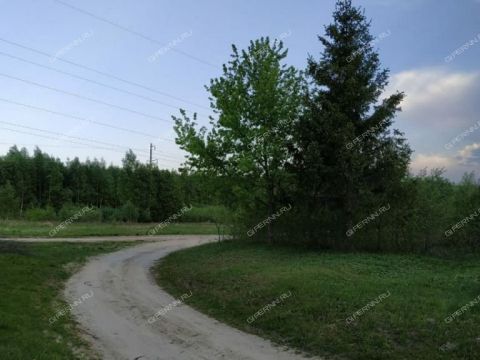dom-derevnya-tyazheluhino-gorodskoy-okrug-chkalovsk фото