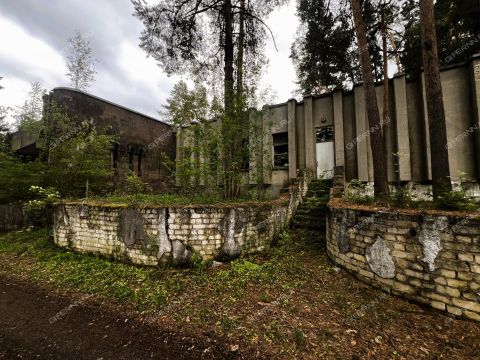 k-p-zelenyy-gorod фото