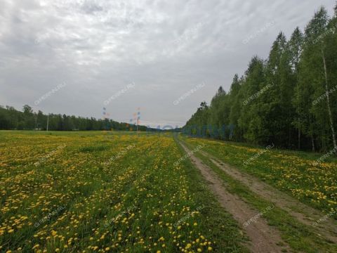 derevnya-bugry-dalnekonstantinovskiy-rayon фото