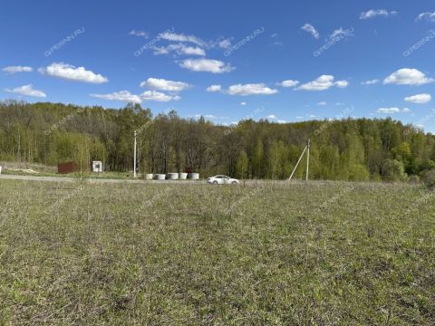 derevnya-shumilovo-bogorodskiy-municipalnyy-okrug фото