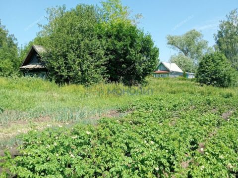 dom-derevnya-medvedkovo-perevozskiy-gorodskoy-okrug фото