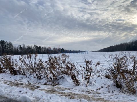 selo-kamenki-bogorodskiy-municipalnyy-okrug фото