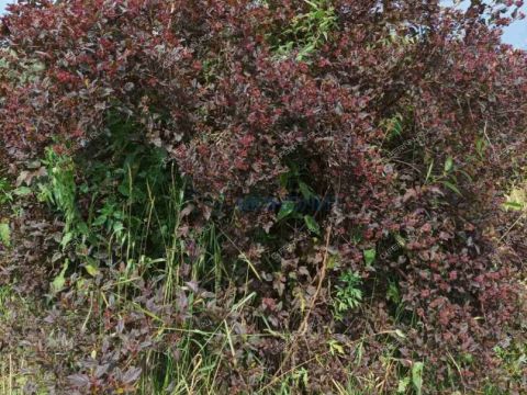 dom-selo-simbiley-dalnekonstantinovskiy-rayon фото