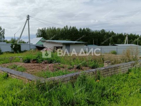 derevnya-shumilovo-bogorodskiy-municipalnyy-okrug фото