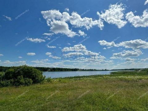 derevnya-afonino-kstovskiy-rayon фото