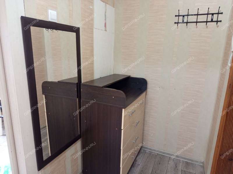 однокомнатная квартира на проспекте Бусыгина дом 48