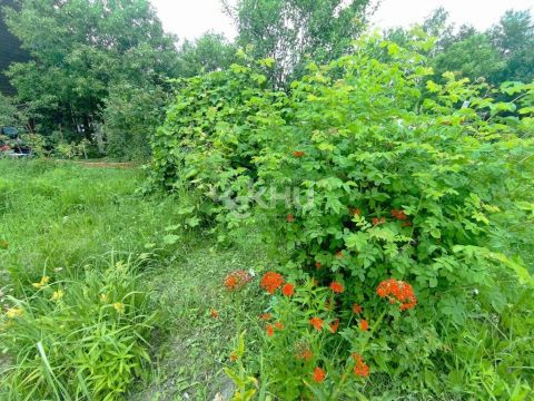 dacha-poselok-doskino-liniya-17-ya-d-650 фото