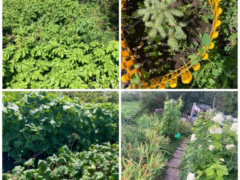 дом на Ново Луговая рабочий посёлок Большое Мурашкино