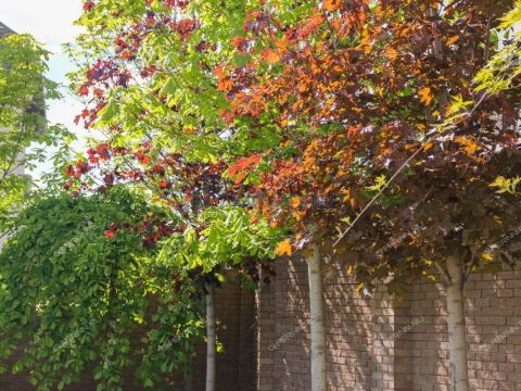 kottedzh-sl-verhnepecherskaya-d-98a фото