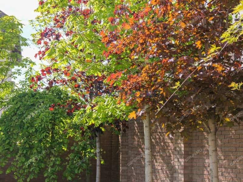 коттедж в слободе Верхнепечёрская