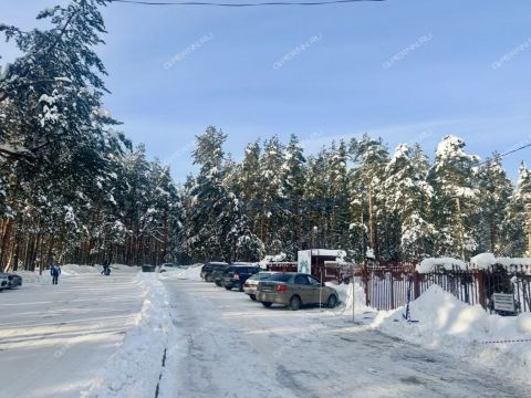 rabochiy-poselok-bolshoe-kozino-balahninskiy-municipalnyy-okrug фото