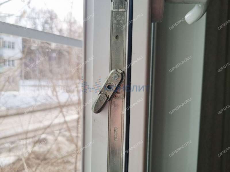 четырёхкомнатная квартира на - дом 40 сельский посёлок Селекционной Станции