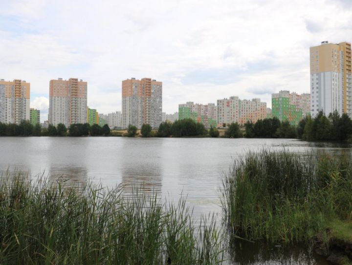 Борьба за Бурнаковскую низину: рекультивация, парк или застройка?