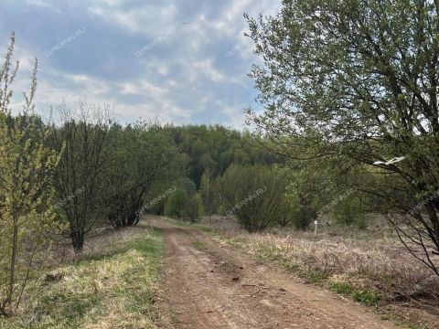 poselok-okskiy-bogorodskiy-municipalnyy-okrug фото