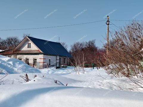 dom-selo-shava-kstovskiy-rayon фото