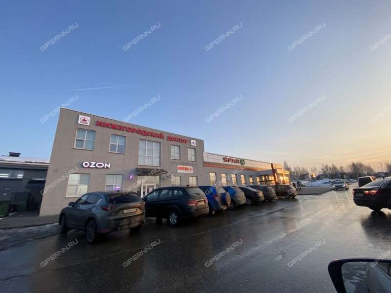 дом на Вишнёвой улице село Доскино