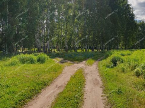 selo-ostankino-gorodskoy-okrug-bor фото