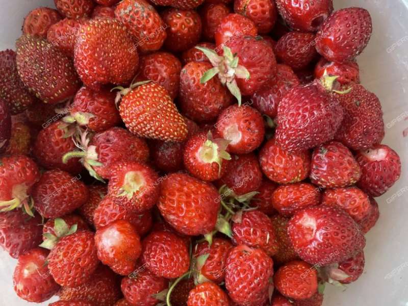 дача на  Дружба-86 снт