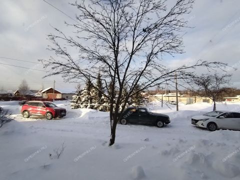 2-komnatnaya-derevnya-novolikeevo-kstovskiy-rayon фото