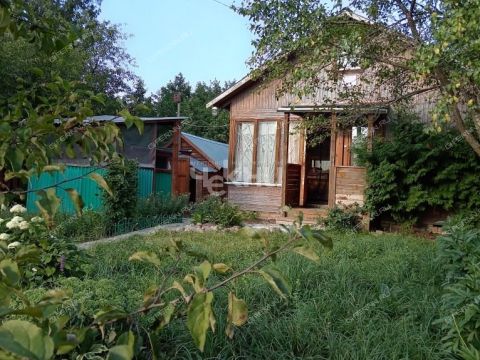 dacha-gorod-zavolzhe-gorodeckiy-rayon фото