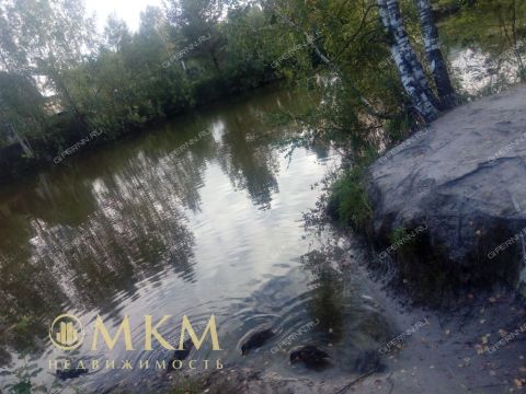 dacha-snt-n8-oao-gaz-gorodskoy-okrug-bor фото