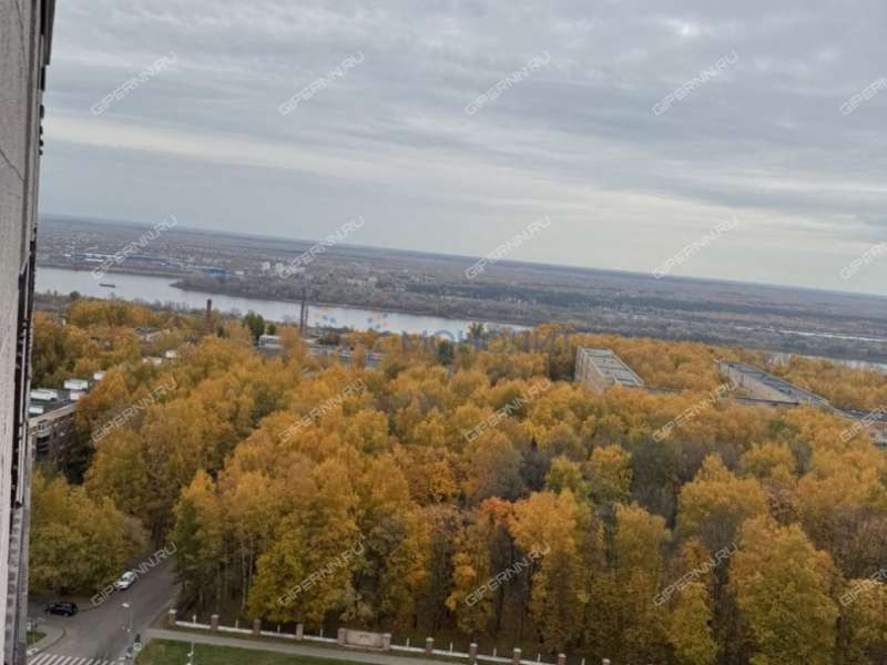 трёхкомнатная квартира на улице Владимира Высоцкого дом 1