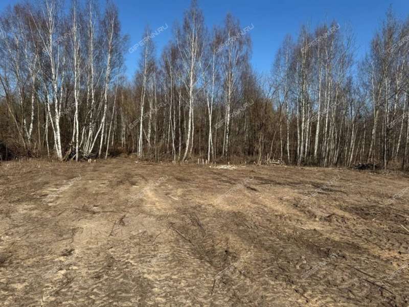 земельный участок 12,5 сотки деревня Заборье