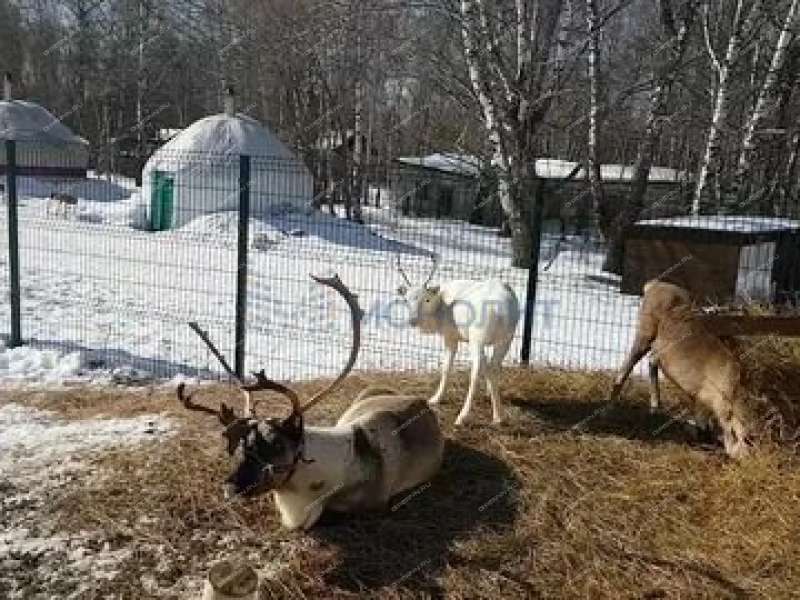 земельный участок 12 соток ул Маяковского село Шава