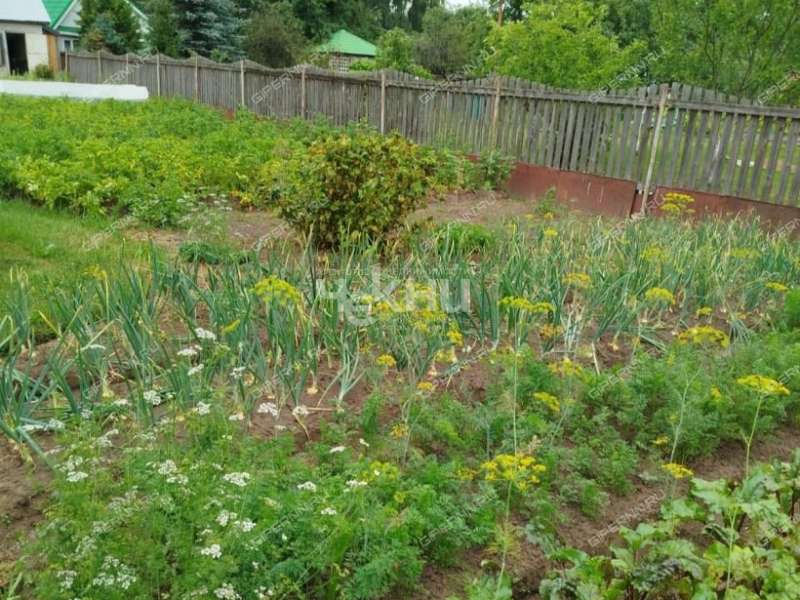 дача на Дорожной улице город Городец