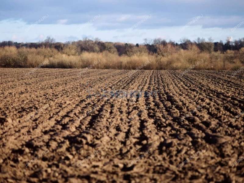 земельный участок под сельхоз назначение в Сергачском районе Нижегородской области