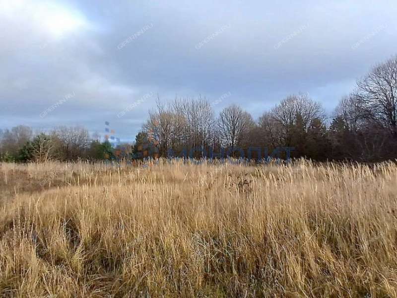 земельный участок 619 соток - деревня Хмелевая Поляна