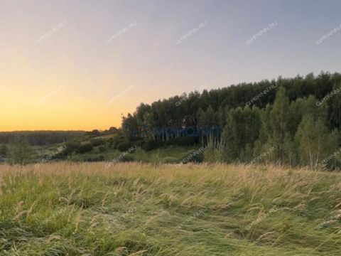 derevnya-burcevo-bogorodskiy-municipalnyy-okrug фото