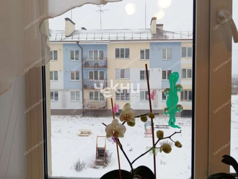 однокомнатная квартира на Счастливой улице дом 14 город Городец