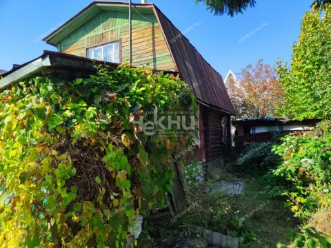 dacha-gorod-balahna-balahninskiy-municipalnyy-okrug фото