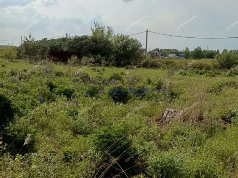 земельный участок 12 соток ул Ларина деревня Шумилово