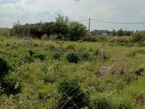 derevnya-shumilovo-bogorodskiy-municipalnyy-okrug фото