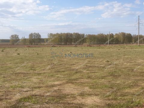 selo-afanasevo-bogorodskiy-municipalnyy-okrug фото