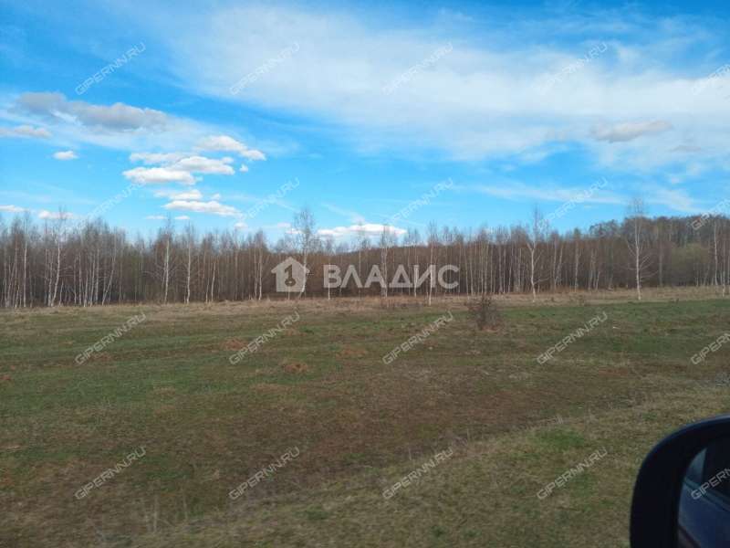 земельный участок 110 соток деревня Инютино