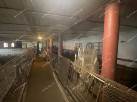 selo-bolshaya-elnya-kstovskiy-rayon фото