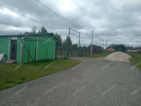 tsn-bugrov-park-dalnekonstantinovskiy-rayon фото