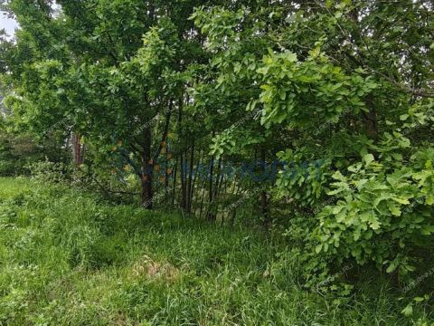 dom-derevnya-pokrovskoe-semenovskiy-gorodskoy-okrug фото