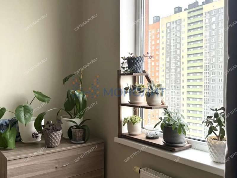 двухкомнатная квартира на Русской улице улице дом 5 деревня Анкудиновка